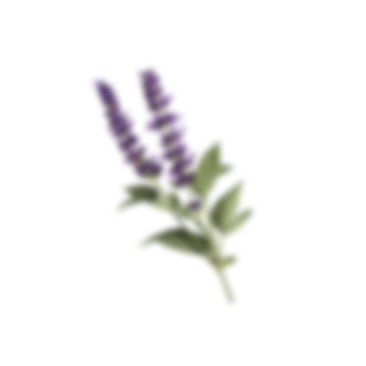 banner-slider-decor-style2-1.png