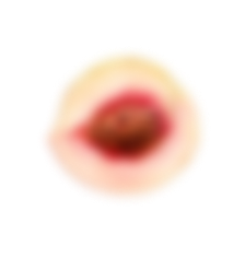 banner-slider-decor-style2-2.png