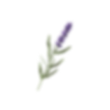 banner-slider-decor-style2-3.png