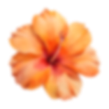 banner-slider-product-decor-style4-1.png