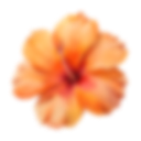 banner-slider-product-decor-style4-3.png